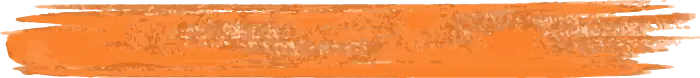 Asset 1Paintbrush stroke_CI_Orange