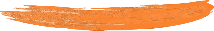 Asset 2Paintbrush stroke_CI_Orange