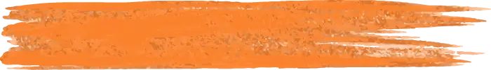 Asset 3Paintbrush stroke_CI_Orange