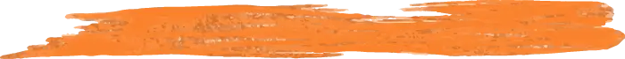 Asset 5Paintbrush stroke_CI_Orange